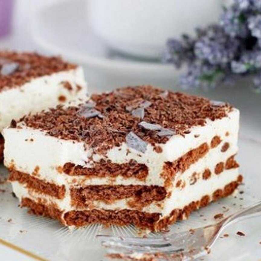 Как сделать торт без выпечки на скорую руку: рецепты быстрых и вкусных тортов