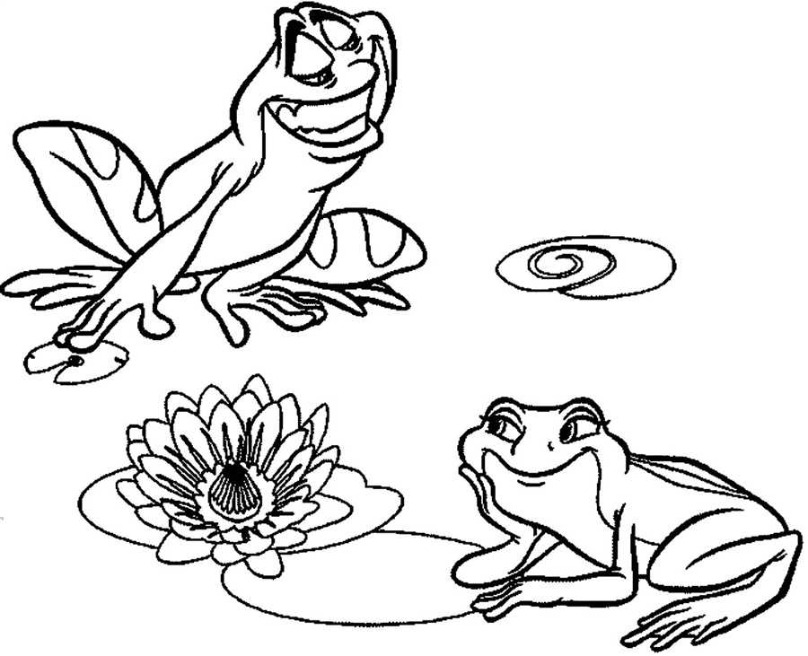 Искусство воссоздания объектов карандашом: как нарисовать лягушку  :: syl.ru