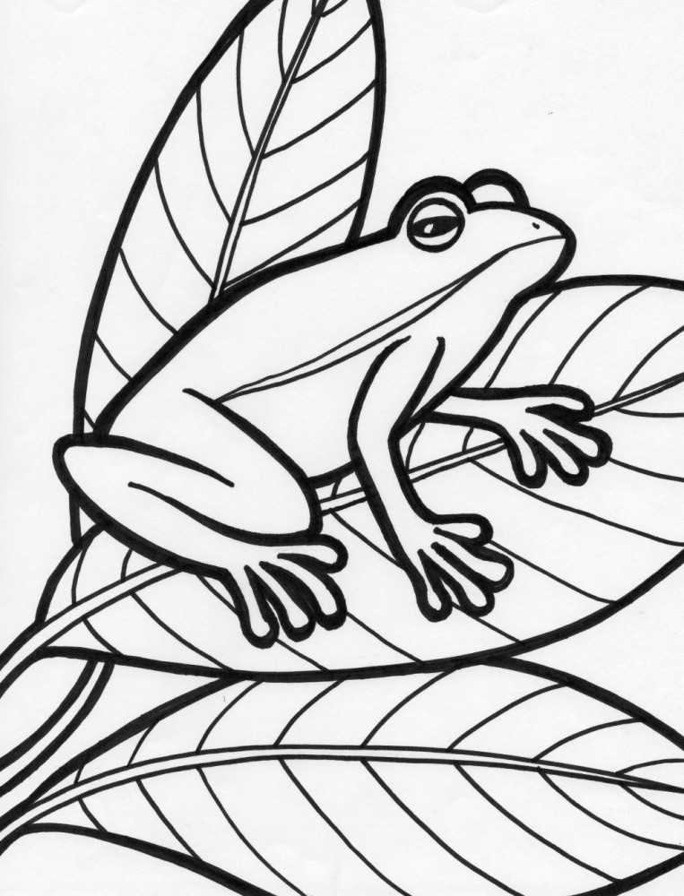 Как нарисовать царевну лягушку? как нарисовать лягушку карандашом поэтапно для детей?