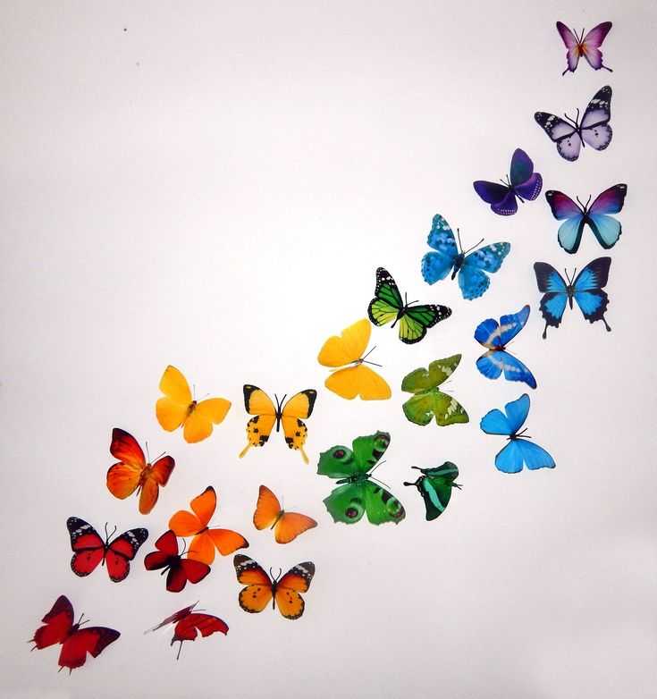 Объемные бабочки из бумаги на стену своими. как сделать бабочку из бумаги своими руками? как сделать красивых бабочек из цветной бумаги на стену? как сделать объемную бабочку поэтапно?