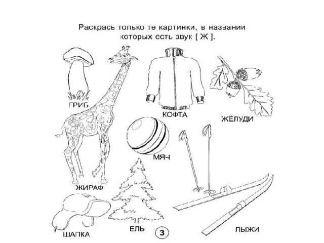 Познакомимся с ж