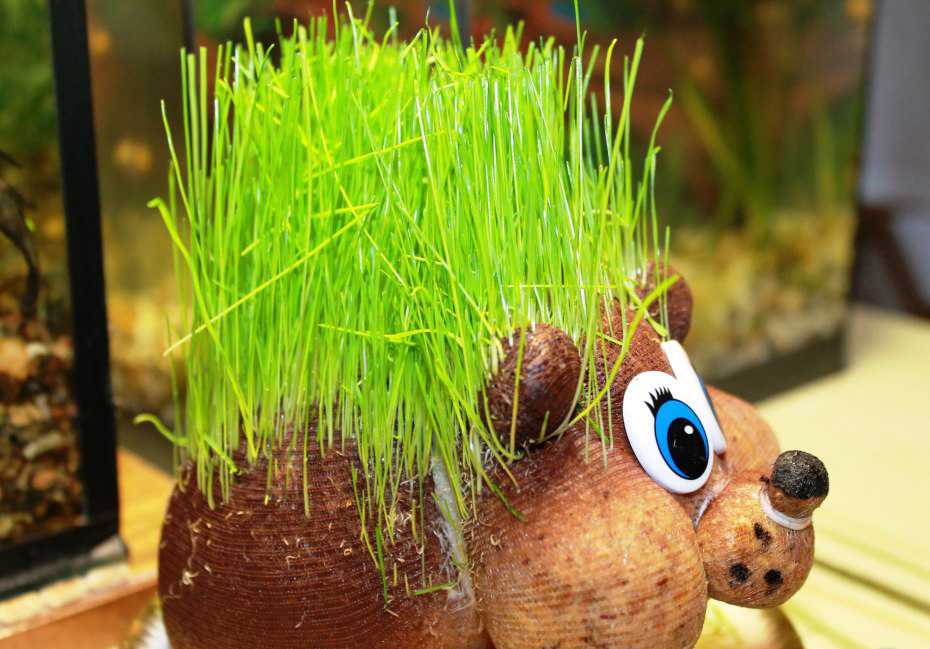 Как сделать травянчика своими руками. веселая игрушка для детей с волосами из травы