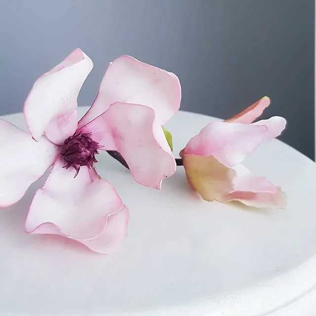 Цветы из сахарной мастики своими руками - простые рецепты вкусных десертов