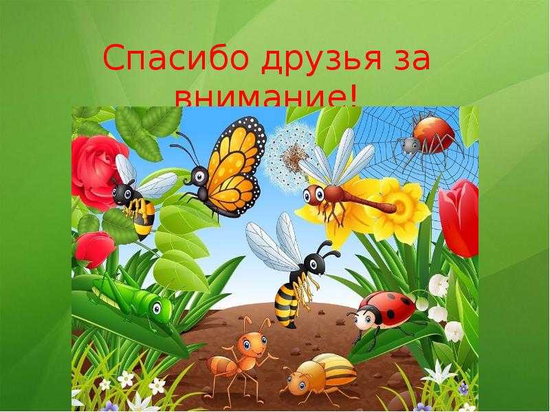 Короткие рассказы про насекомых для детей 5-6 лет