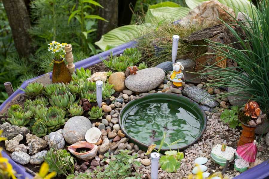 Как сделать сад в горшке своими руками: пошаговый мастер-класс по изготовлению мини-сада