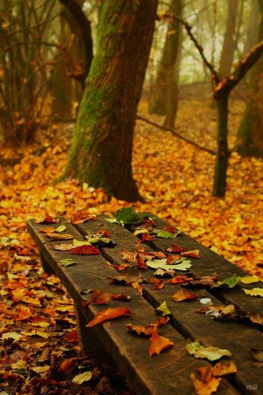 Осенние поделки домики из природного материала пошагово - ogorod.guru