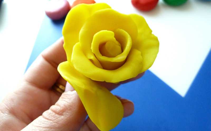 Роза из пластилина — как сделать поэтапно своими руками розу