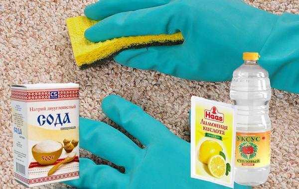 15 надежных способов, как избавиться от запаха кошачьей мочи на ковре