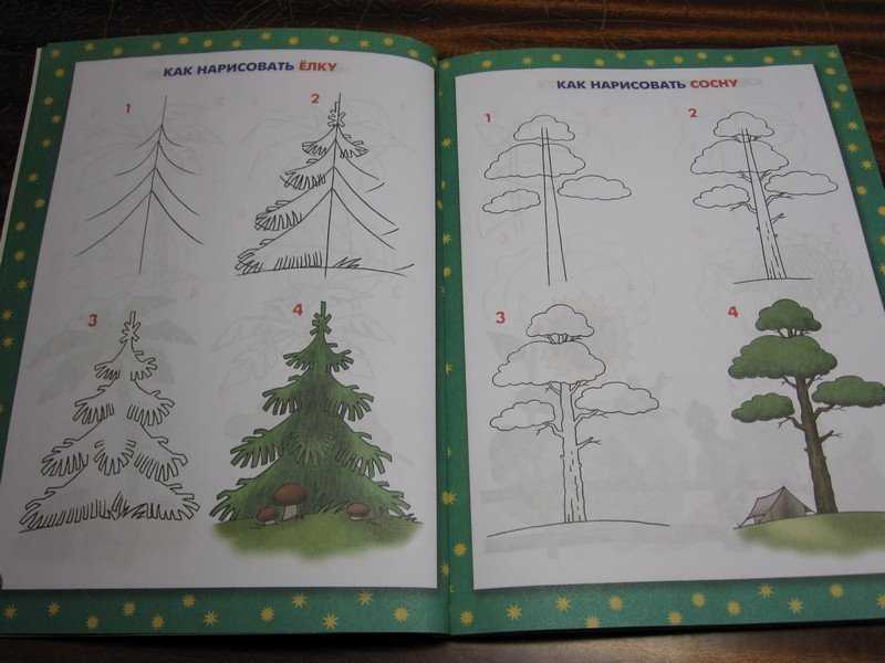 Как нарисовать дерево поэтапно карандашом (56 фото) - легкие мастер-классы по рисованию деревьев