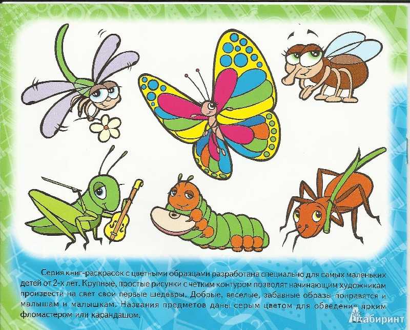 Рассказ про насекомых по окружающему миру, 2 класс