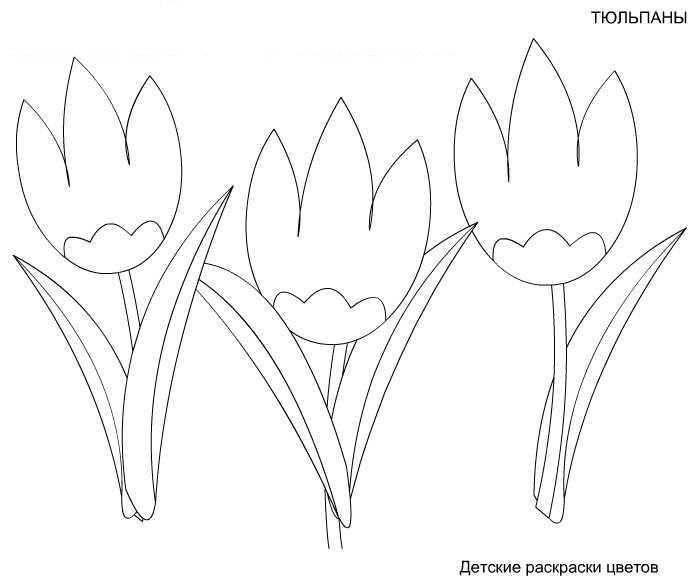 Тюльпан поникающий рисунок