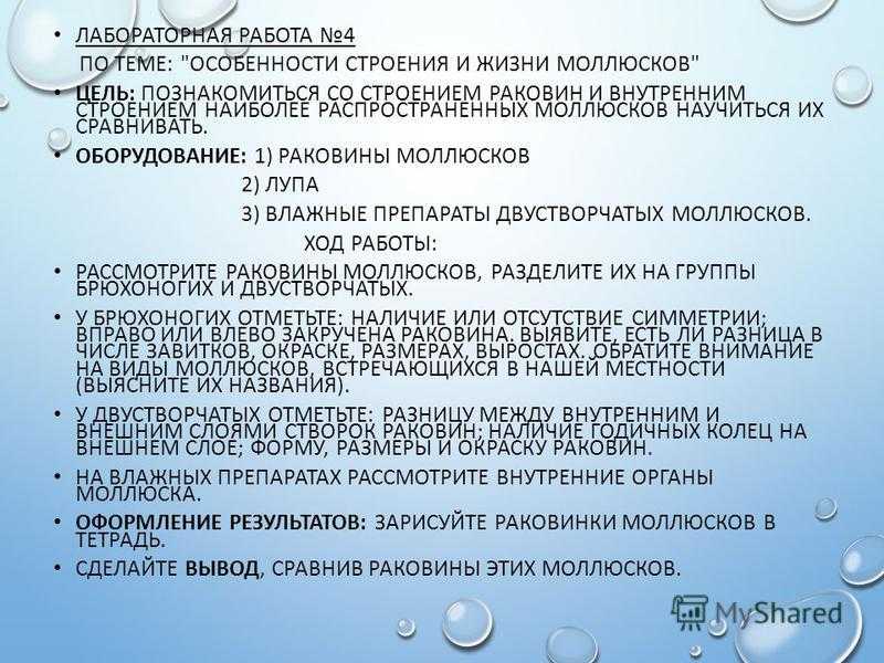Олимпиада по литературе на учи.ру 1-4 классы 2021 октябрь