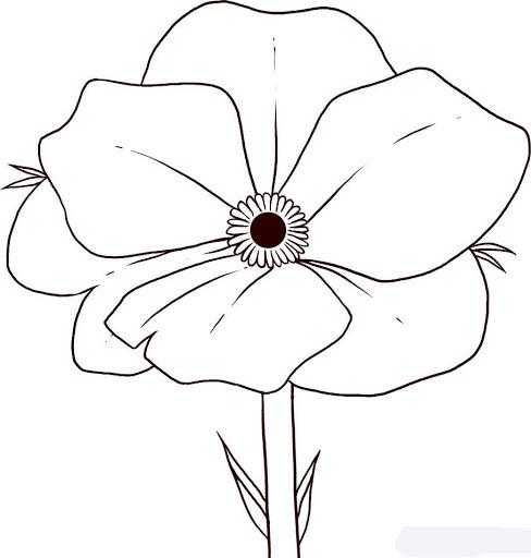 Как нарисовать цветок: поэтапно учимся рисовать цветок карандашом (розу, колокольчик, мак)