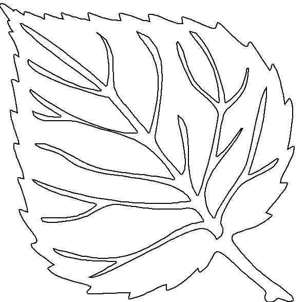 Осенние листья — трафареты, шаблоны для вырезания