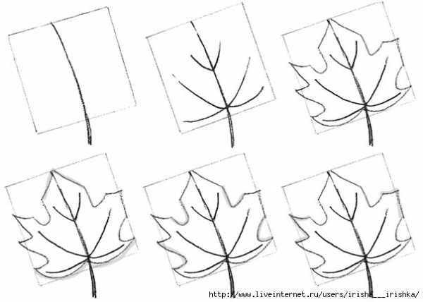 Как нарисовать осенние листья  поэтапно 5 уроков