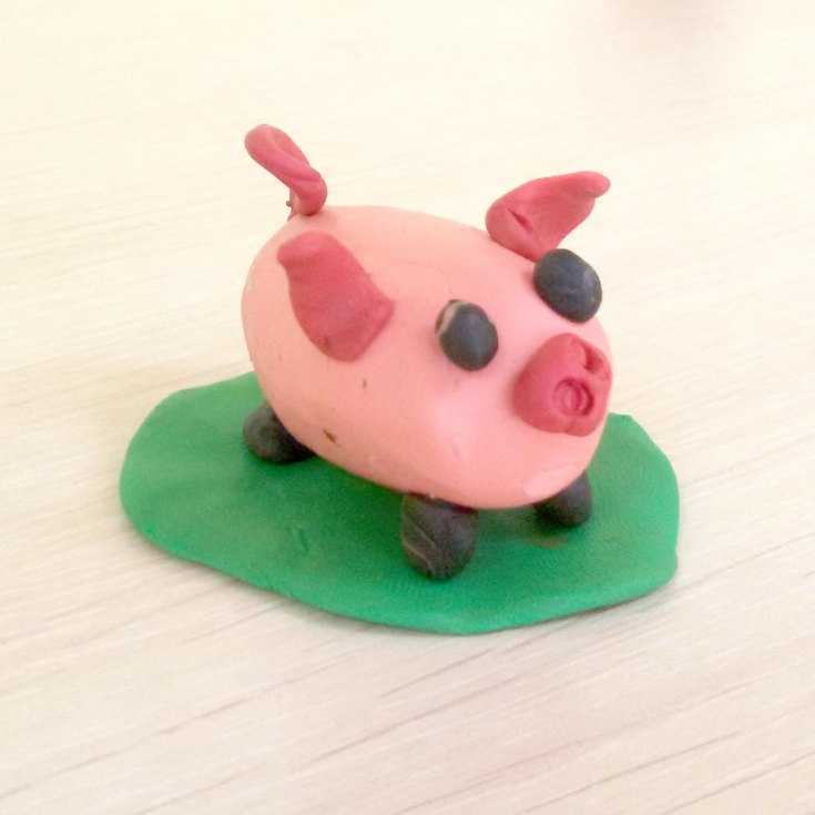 Как сделать свинку из пластилина своими руками для детей. фото