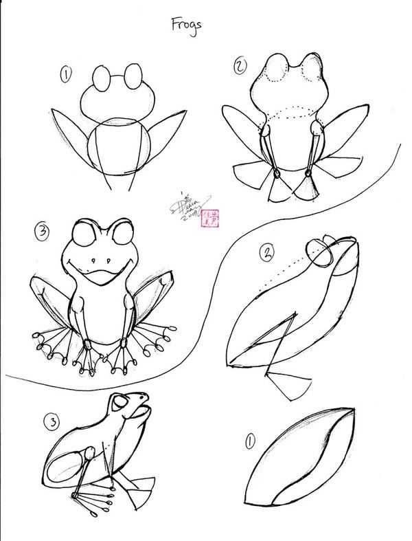 Как нарисовать лягушку поэтапно карандашом - особенности, мастер-классы, фото идеи и примеры