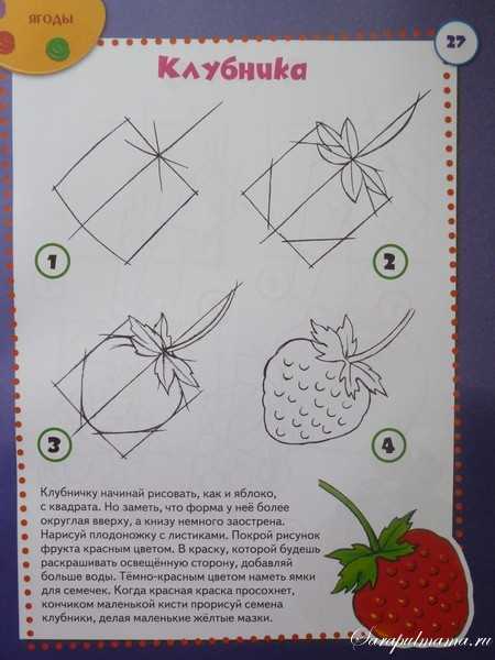 Как нарисовать клубнику: пошаговая инструкция и подробное описание