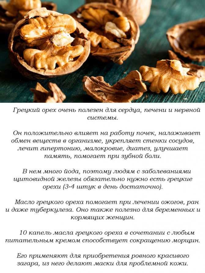 Поделки из скорлупы грецкого ореха: фото и видео как смастерить детскую игрушку или украшение из скорлупы