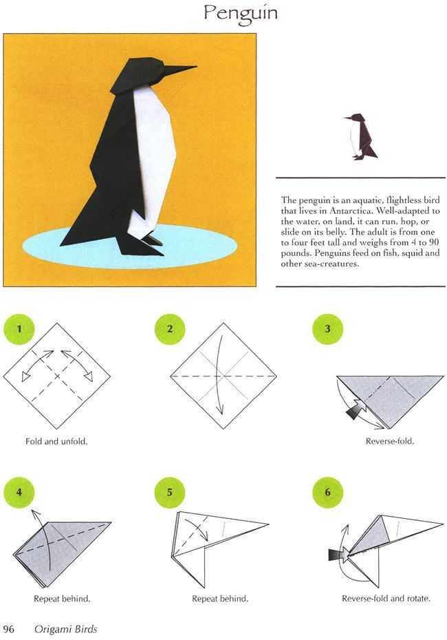 Пингвин из модулей схема. модульное оригами пингвин мастер класс для начинающих. модульный пингвин оригами: инструкция сборки