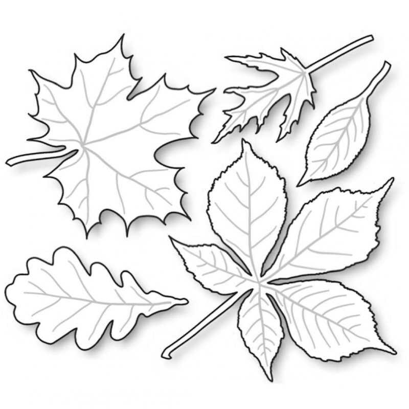 Шаблоны осенних листьев для вырезания из бумаги