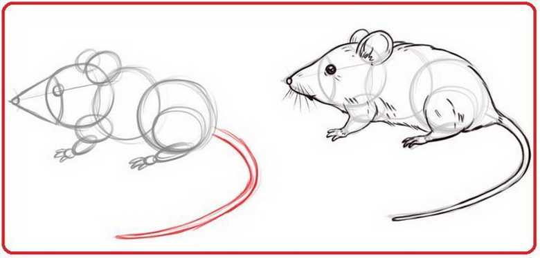 Как нарисовать летучую мышь на хэллоуин 6 уроков