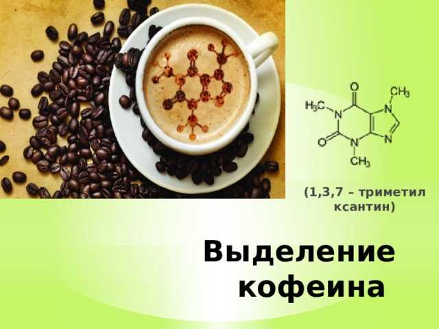 Кофеин влияние на организм проект. Выделение кофеина. Выделение кофеина из кофе. Выделение кофеина из чая опыт. Влияние кофеина на организм человека проект 9 класс.