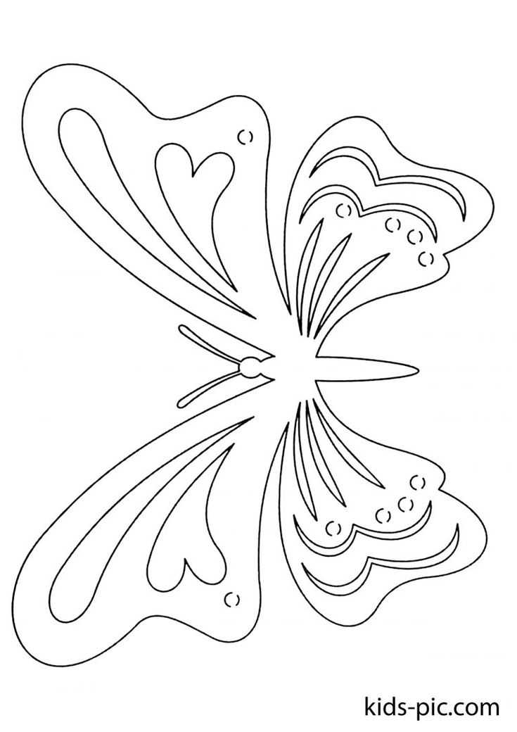 Поделка бабочка своими руками поэтапно: легкая инструкция с фото и описанием, как сделать оригинальную поделку