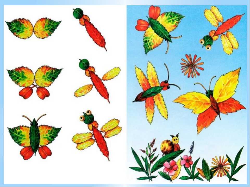 Бабочки считаются символами души, а также способности к превращениям, ведь эта крылатая красавица появляется на свет из невзрачной гусеницы А также