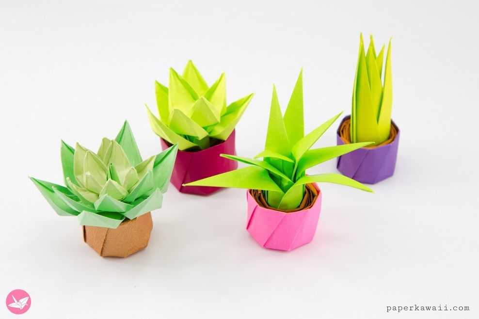 Оригами кактус: пошаговые инструкции, видеоуроки
