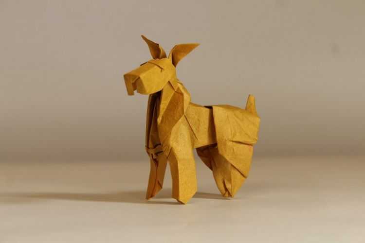 Оригами, квиллинг и аппликация собаки из бумаги и картона в оригинальных идеях и пошаговом мастер классе