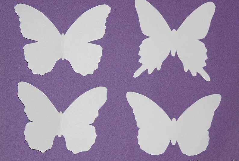 Трафареты бабочек. трафареты бабочки на стену, окно, как способ декорирования