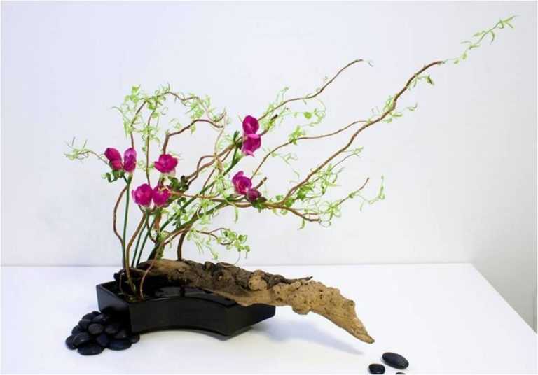 Икебана - необходимые материалы и инструменты для создания красивой икебаны (110 фото)