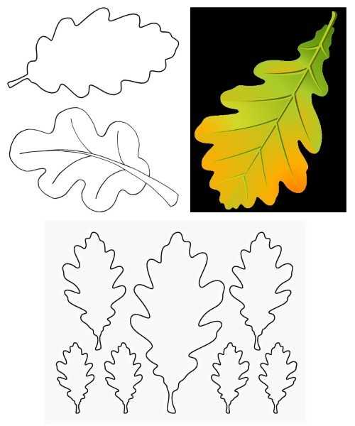 Шаблоны листьев для вырезания из бумаги — распечатать с сайта