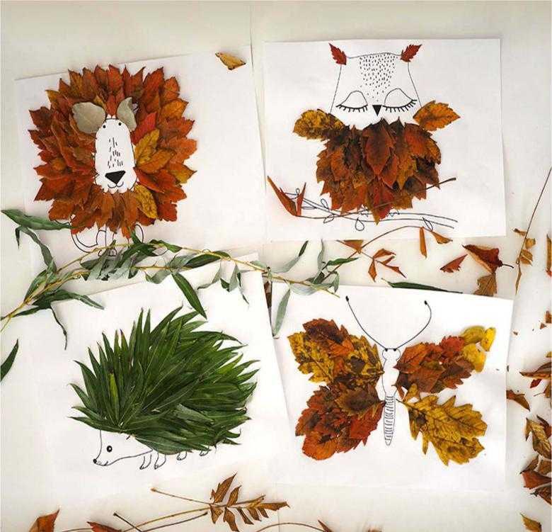 Аппликация из листьев (133 фото): легкие детские поделк по шаблонам на цветной бумаге