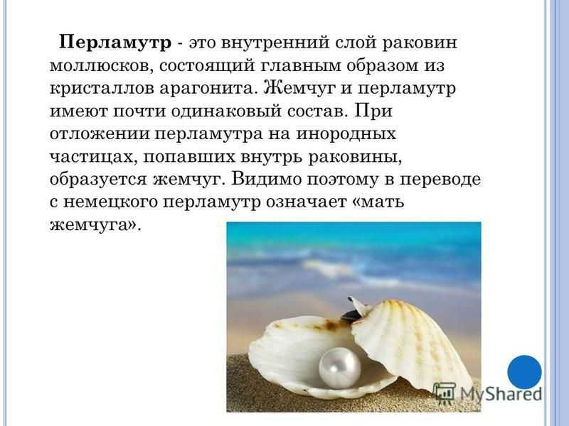 Морские и пресноводные (речные) виды двустворчатых моллюсков