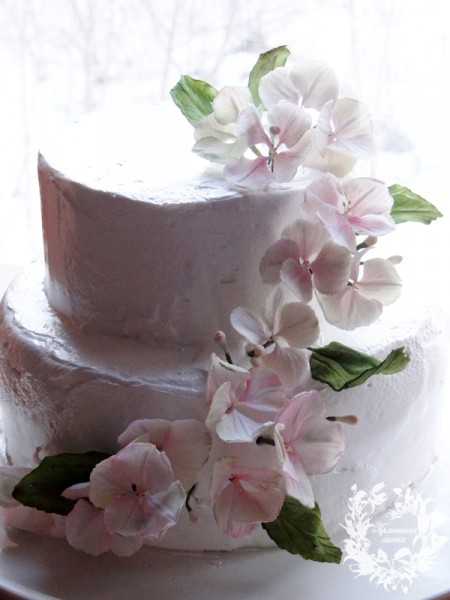 Видео как сделать сахарные цветы для торта