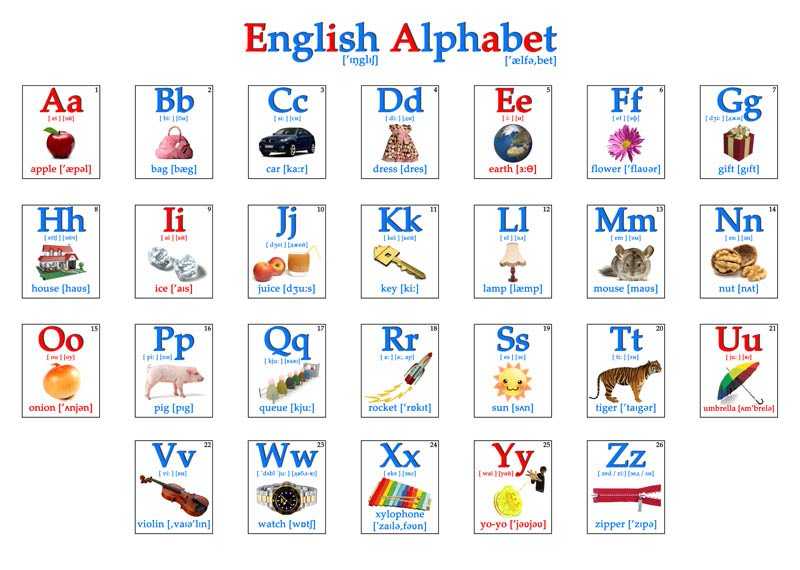Буквы английского алфавита с транскрипцией, произношением и картинками + песенка abc для детей