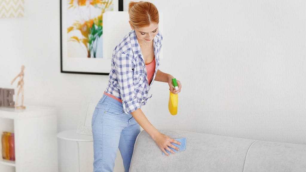 Как почистить диван от пятен в домашних условиях: применение ванеша, пароочистителем и без пылесоса, чистка от запаха и мочи, пыли и грязи