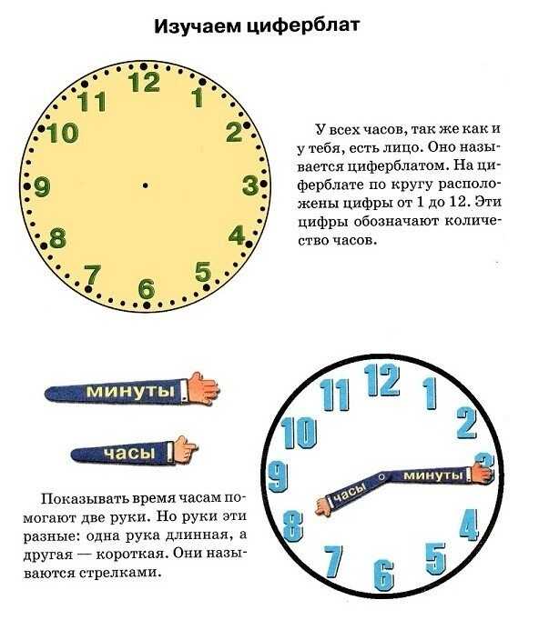 Как научить ребенка определять время по часам со стрелками, обучающие часы