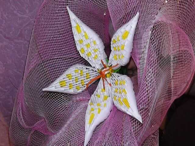 Лилия из бумаги пошагово: простая инструкция, как сделать красивый цветок своими руками. схемы оригами для начинающих + фото шаблонов