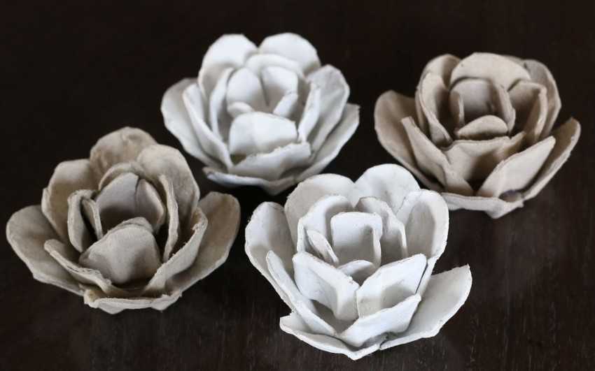 Розы из яичных лотков пошаговая инструкция. цветы из яичных лотков