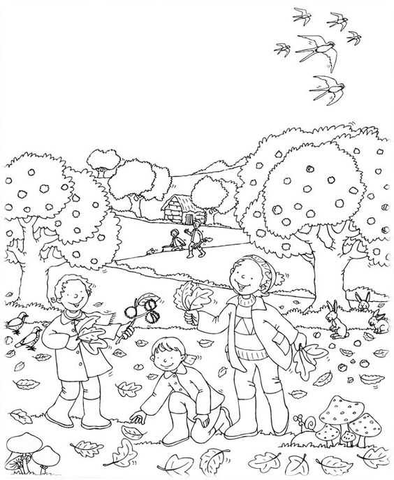 Раскраски осень для детей 6 7 лет крупные рисунки природа