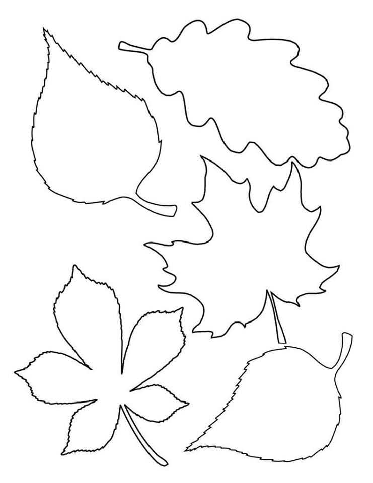 Отличная подборка осенних листьев в виде шаблонов и трафаретов для вырезания, создания рисунков, декора и других вариантов