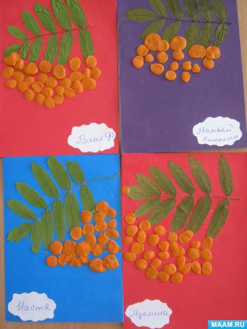 Осенняя аппликация из природного материала «ветка рябины» для детей 5-7 лет. мастер-класс с пошаговыми фото