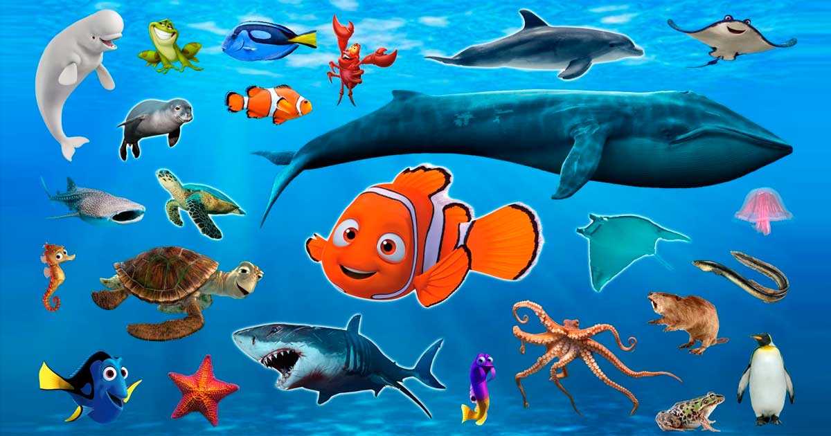 Подводный мир, морские обитатели и рыбы для детейamelica