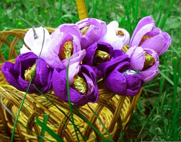 Крокусы из конфет своими руками: вкусный и запоминающийся подарок – 1st-finstep.ru