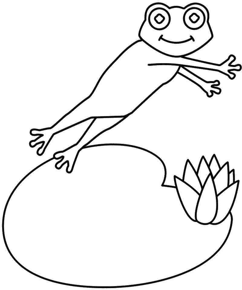 Как нарисовать лягушку | рисунок лягушки карандашом