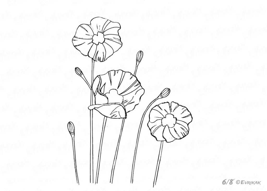 Как нарисовать цветок карандашом и красками — поэтапное руководство для начинающих с фото