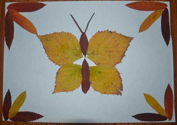 Аппликация «бабочка» из листьев: трафареты и шаблоны с фото и видео